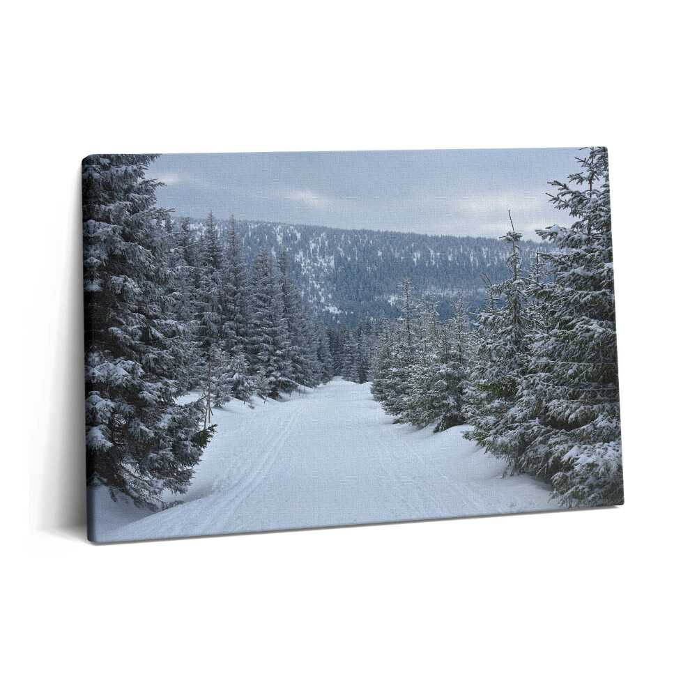 Obraz canvas 60x40 Czeskie Karkonosze zimą