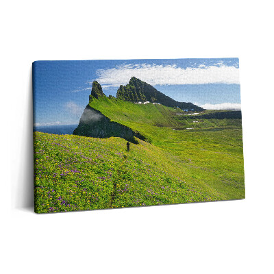 Obraz canvas 60x40 Rezerwat Hornstrandir Islandia