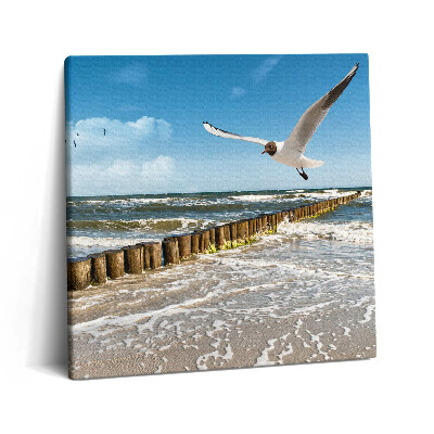 Obraz canvas 60x60 Ptak nad morzem