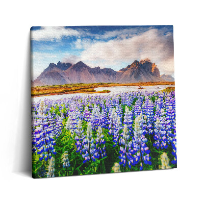 Obraz canvas 60x60 Magiczne kwiaty łubinu