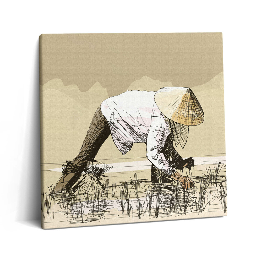 Obraz canvas 60x60 Dwie kobiety zbierające ryż w Azji