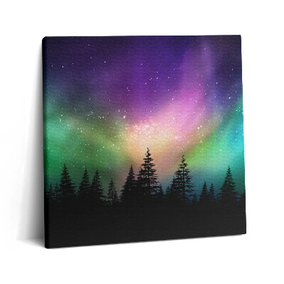 Foto obraz canvas 60x60 Zorza polarna