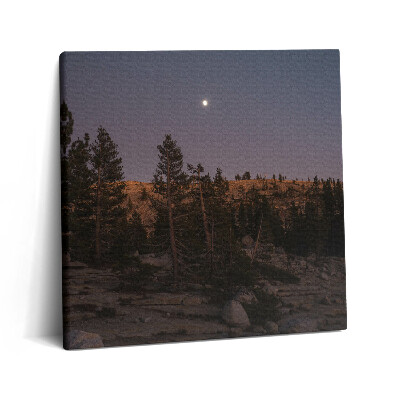 Foto-obraz canvas 60x60 Skalista droga w Yosemite