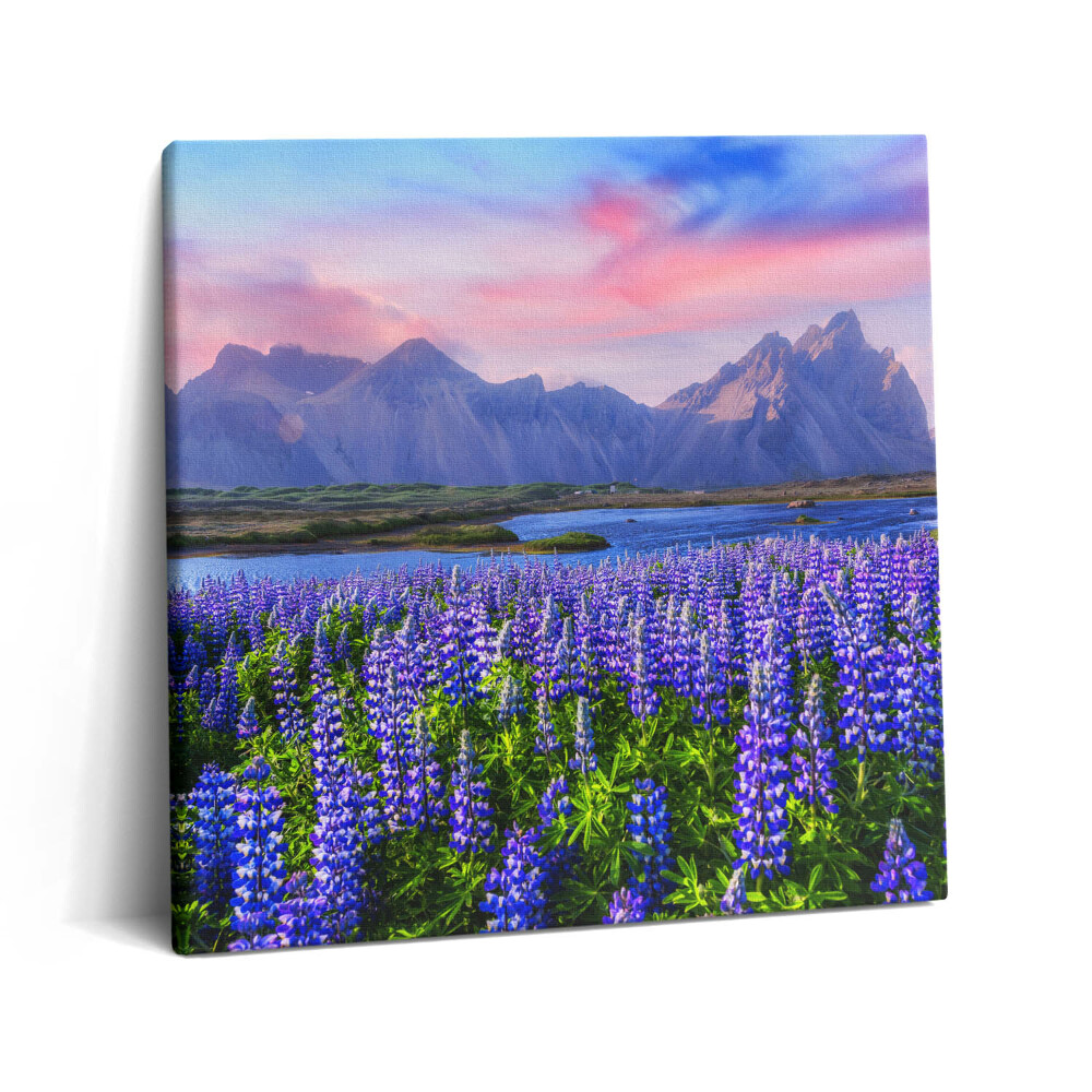 Foto obraz ze zdjęcia 60x60 Pola lawendy - Islandia