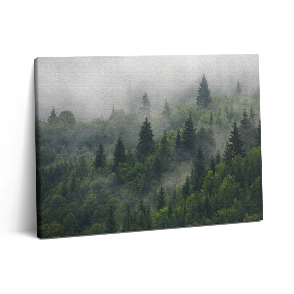 Foto obraz canvas 80x60 Krajobraz lasu we mgle