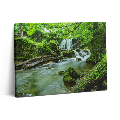 Foto obraz canvas 80x60 Wodospad w dzikiej dżungli
