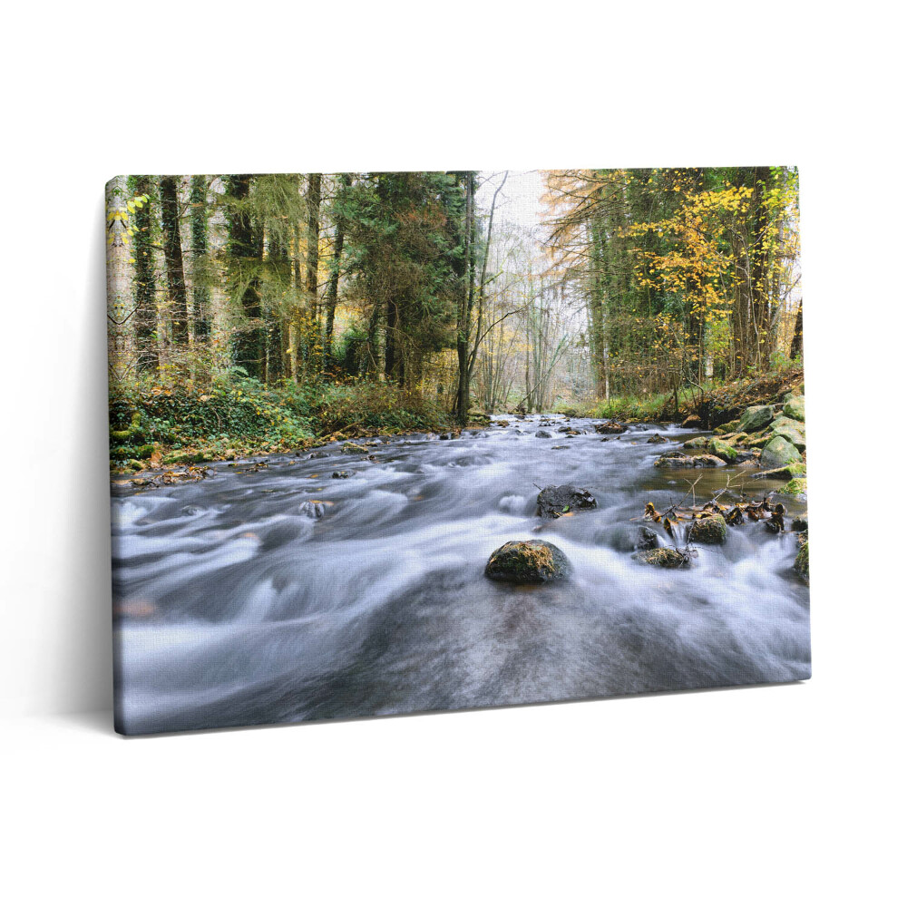 Obraz na płótnie 80x60 Górski potok