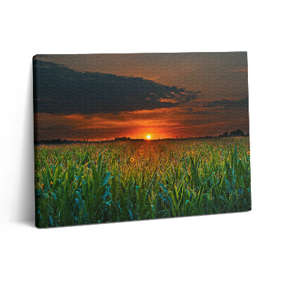 Foto obraz canvas 80x60 Słonecznik na łące