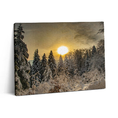 Obraz na płótnie 80x60 Zimowy krajobraz Beskidu