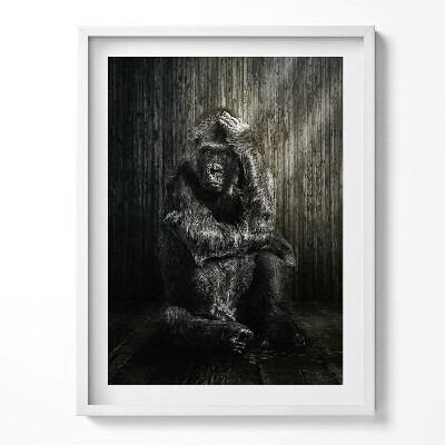 Obraz w ramce Dumająca w cieniu małpa