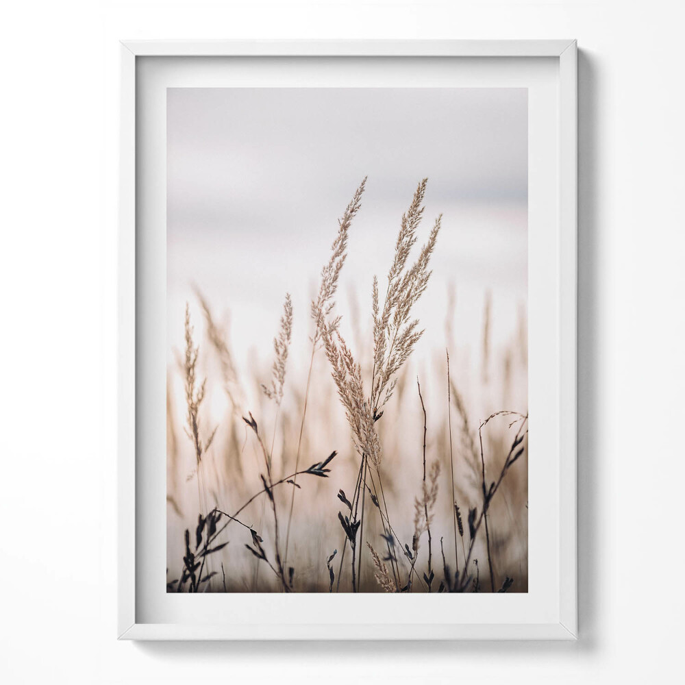 Obraz w ramce Natura trawa styl boho
