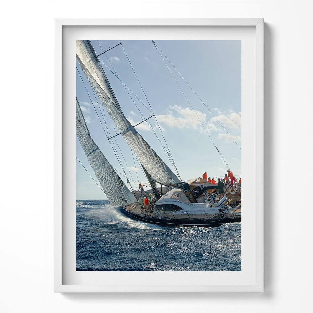 Obraz w ramce Regaty jachtów żaglowych