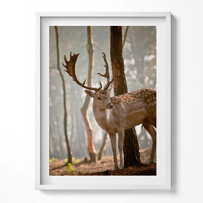 Obraz w ramce Jeleń w blasku wschodzącego słońca