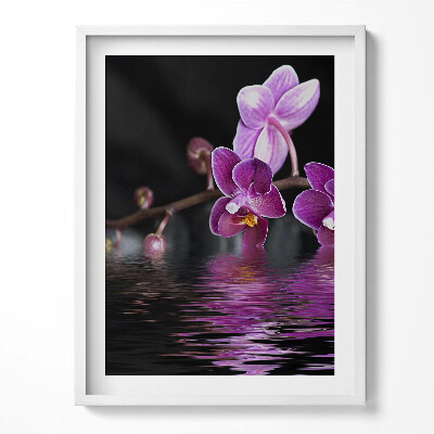 Obraz w ramce Różowy kwiat orchidei na wodzie