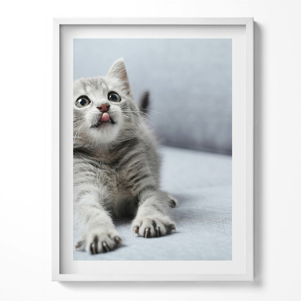 Obraz w ramce Uroczy mały kotek na kanapie