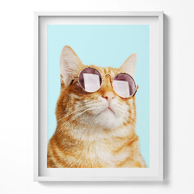 Obraz w ramce Śmieszny kot w okularach