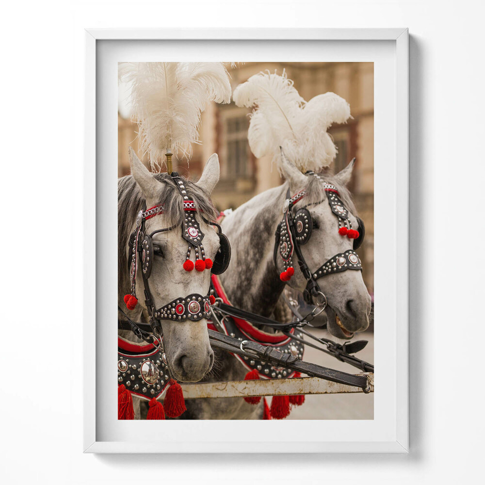 Obraz w ramce Piękne konie w Krakowie