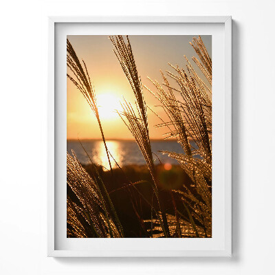 Obraz w ramce Pszenica W Złotej Godzinie