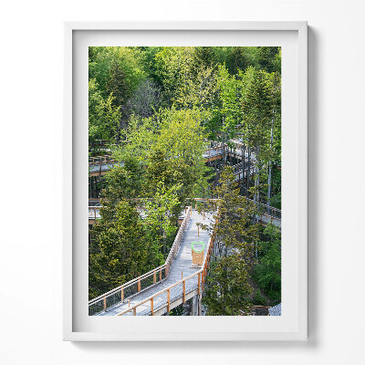 Obraz w ramce Ścieżka w Krynicy Zdroju