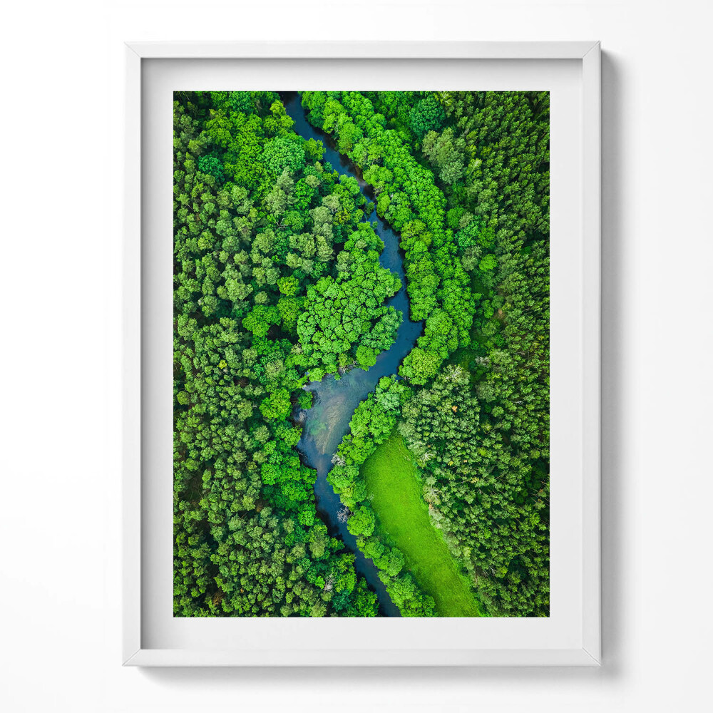 Obraz w ramce Rzeka w lesie