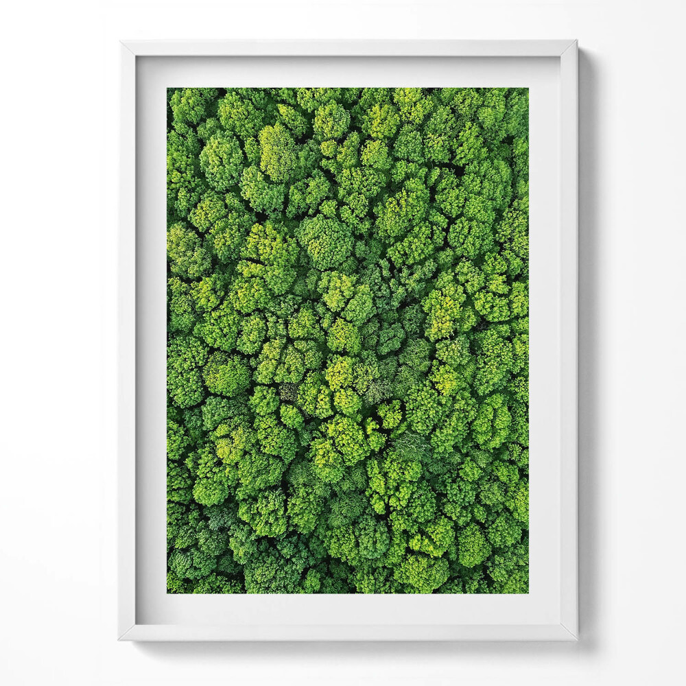 Obraz w ramce Las z lotu ptaka