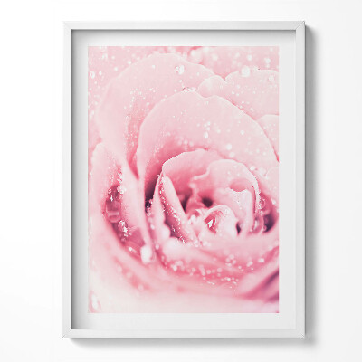 Obraz w ramce Różowy Delikatny Kwiat