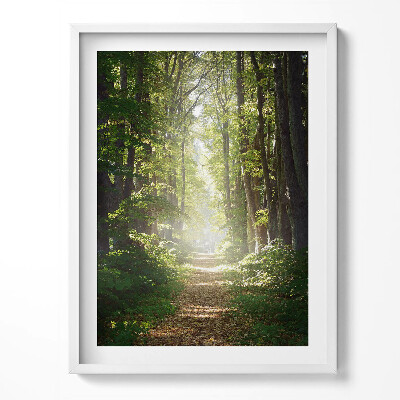 Obraz w ramce Leśna droga wśród drzew