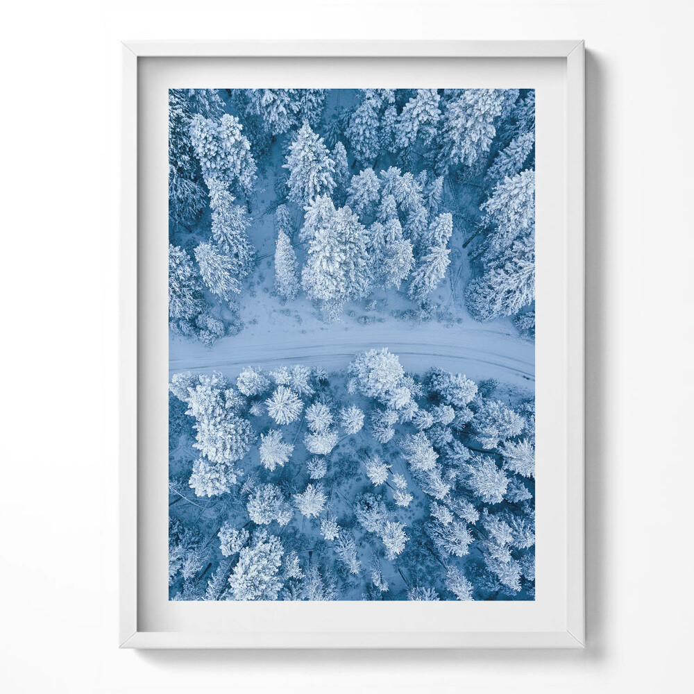 Obraz w ramce Las z lotu ptaka Dron