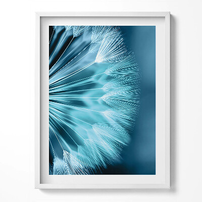 Obraz w ramce Zbliżenie na dmuchawiec