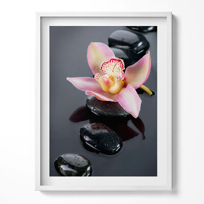 Obraz w ramce Kwiat na kamieniach w wodzie