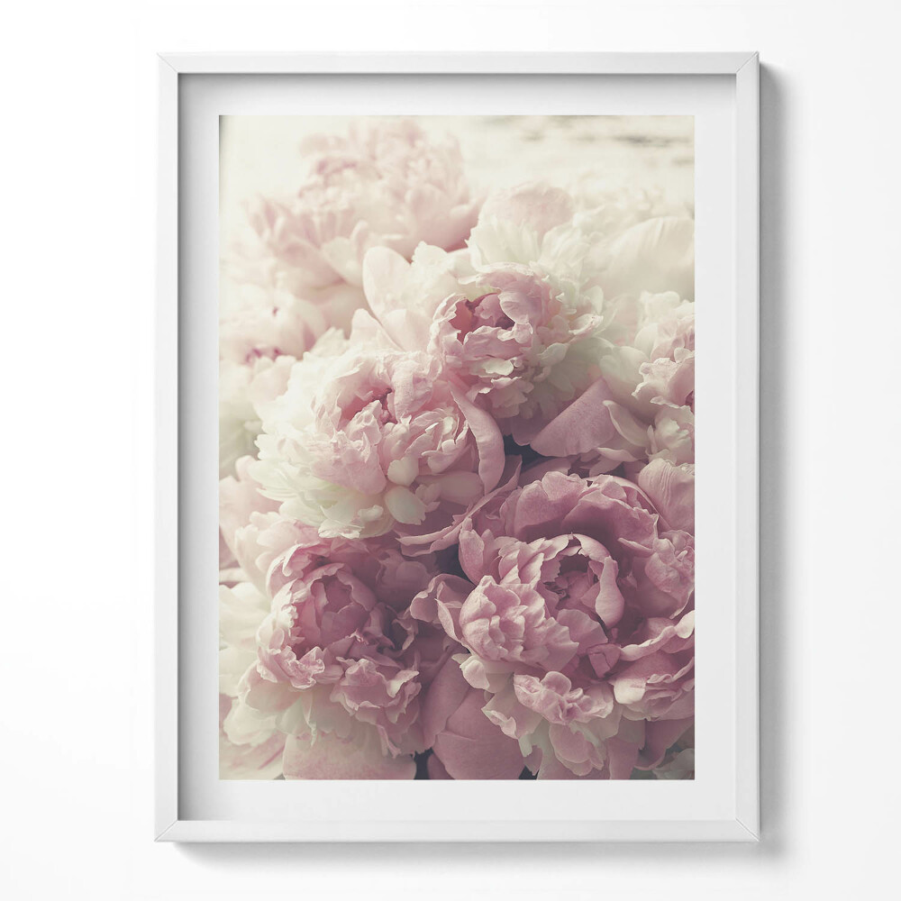 Obraz w ramce Subtelne kwiaty piwonie