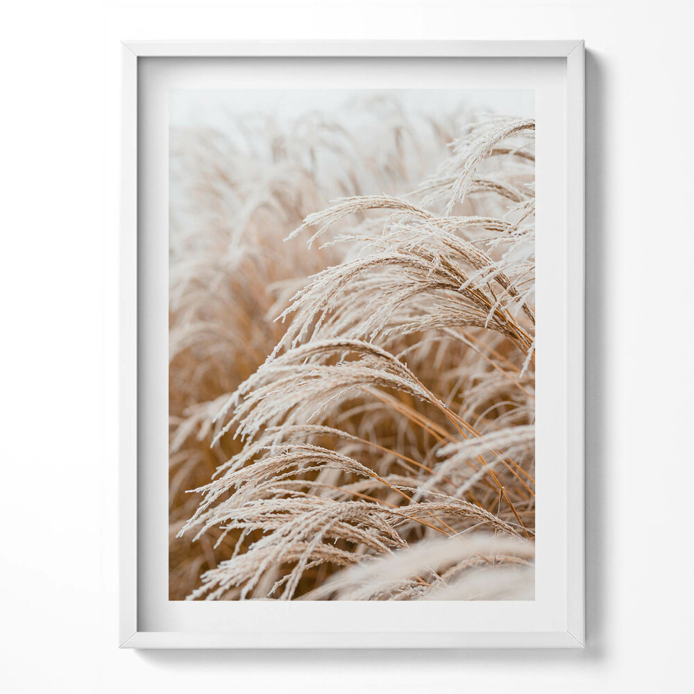 Obraz w ramce Delikatne trawy w stylu boho