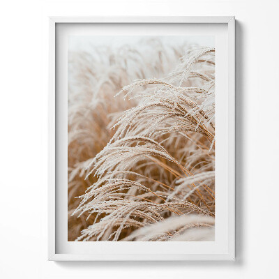Obraz w ramce Delikatne trawy w stylu boho