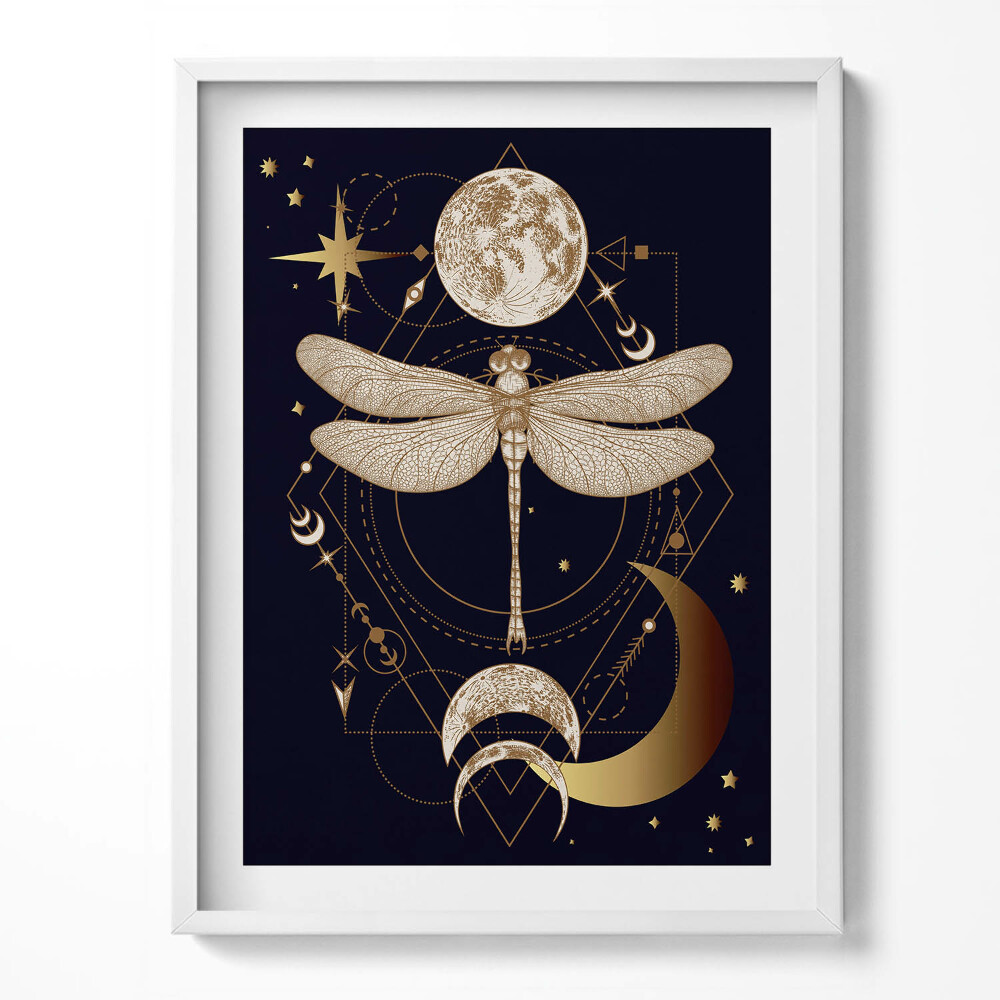 Obraz w ramce Magiczna kompozycja kosmosu i ważki