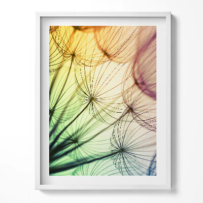 Obraz w ramce Delikatne pyłki dmuchawca