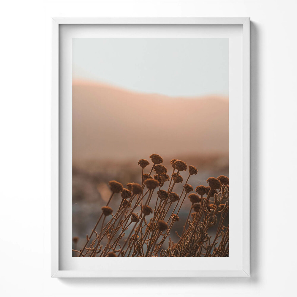 Obraz w ramce Boho romantyczny pejzaż traw