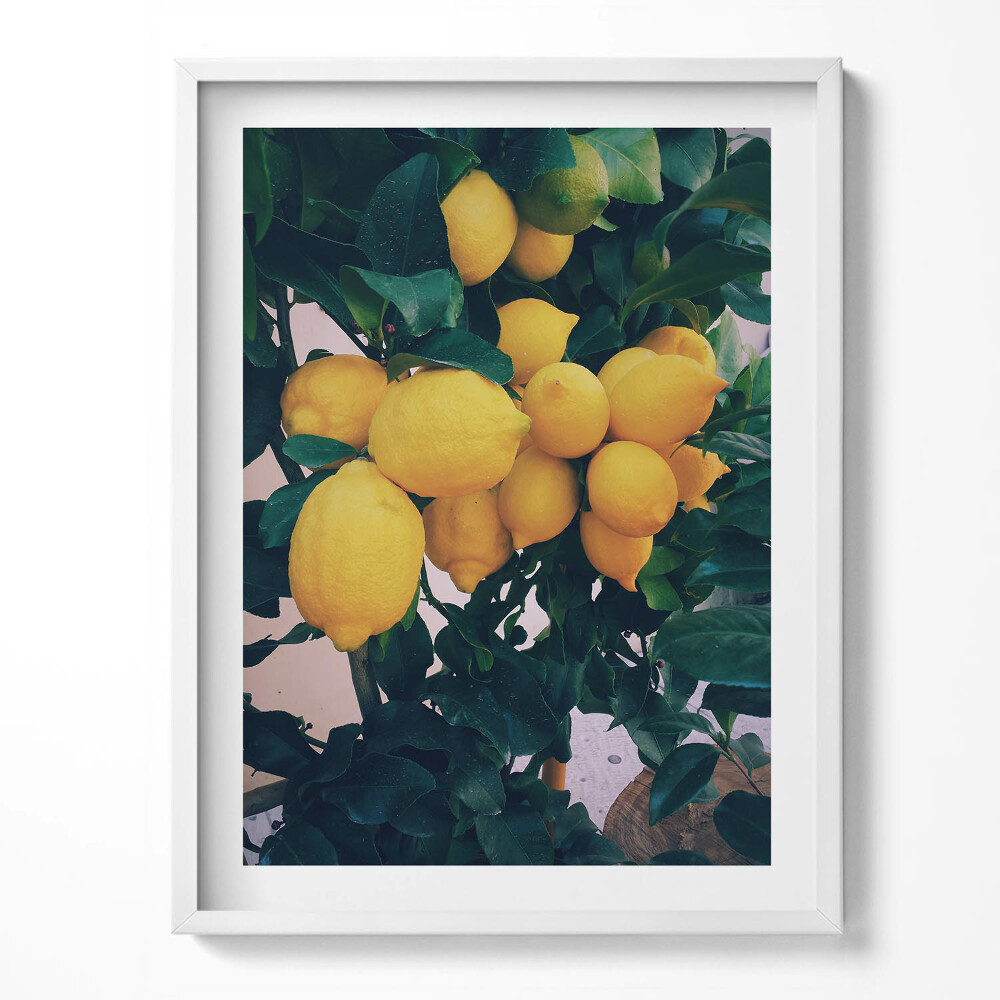 Obraz w ramce Dojrzałe żółte cytryny