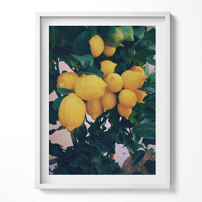Obraz w ramce Dojrzałe żółte cytryny