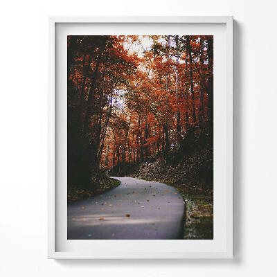 Obraz w ramce Pusta droga w jesiennym lesie