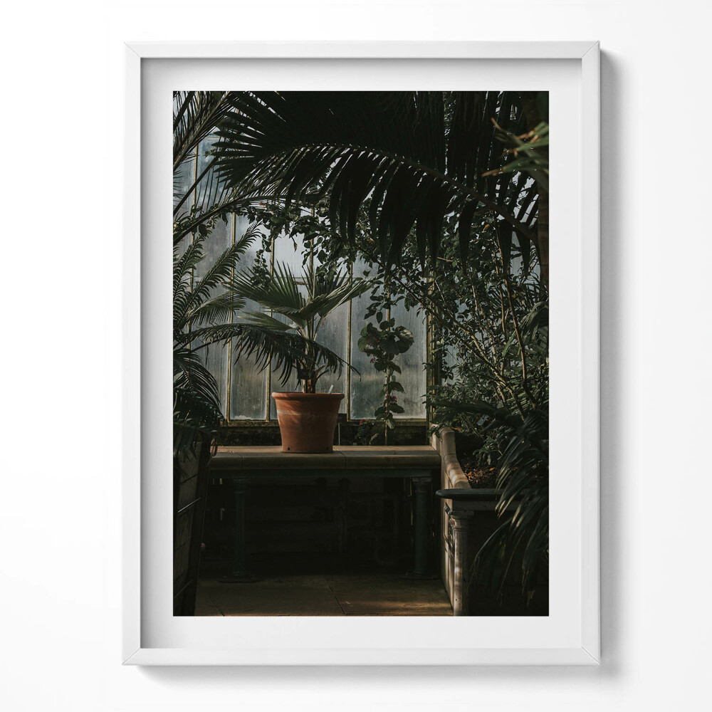 Obraz w ramce Vintage rośliny na oknie