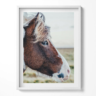 Obraz w ramce Zbliżenie na brązowego konia z grzywą