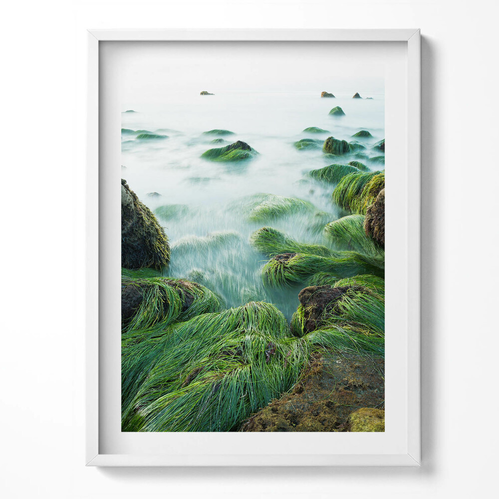 Obraz w ramce Trawy na brzegu rzeki