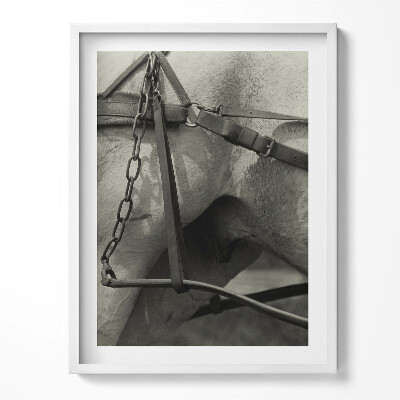 Obraz w ramce Zbliżenie na uprząż konia