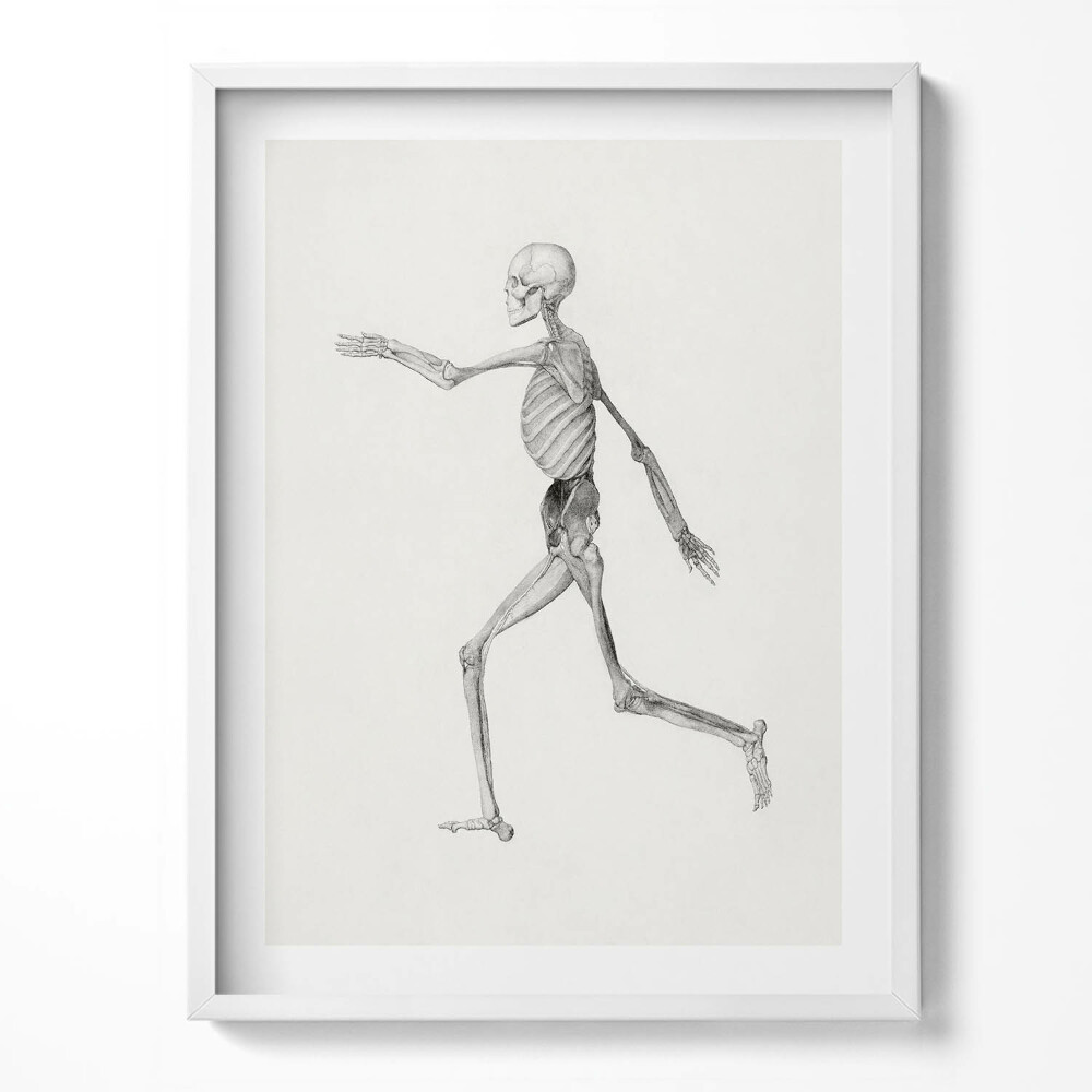 Obraz w ramce Rysunek kościotrupa