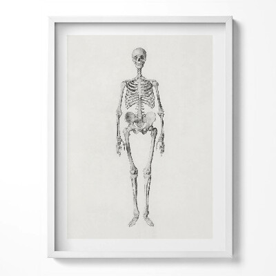 Obraz w ramce Szkic ilustracja kościotrupa