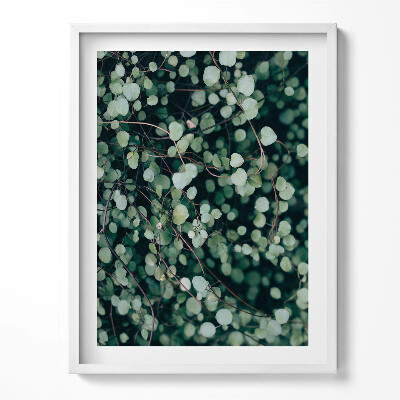 Obraz w ramce Droble listki rośliny