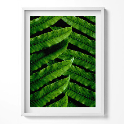 Obraz w ramce Zielone liście zbliżenie