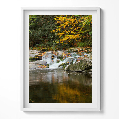 Obraz w ramce Zielony pejzaż leśnego strumyka