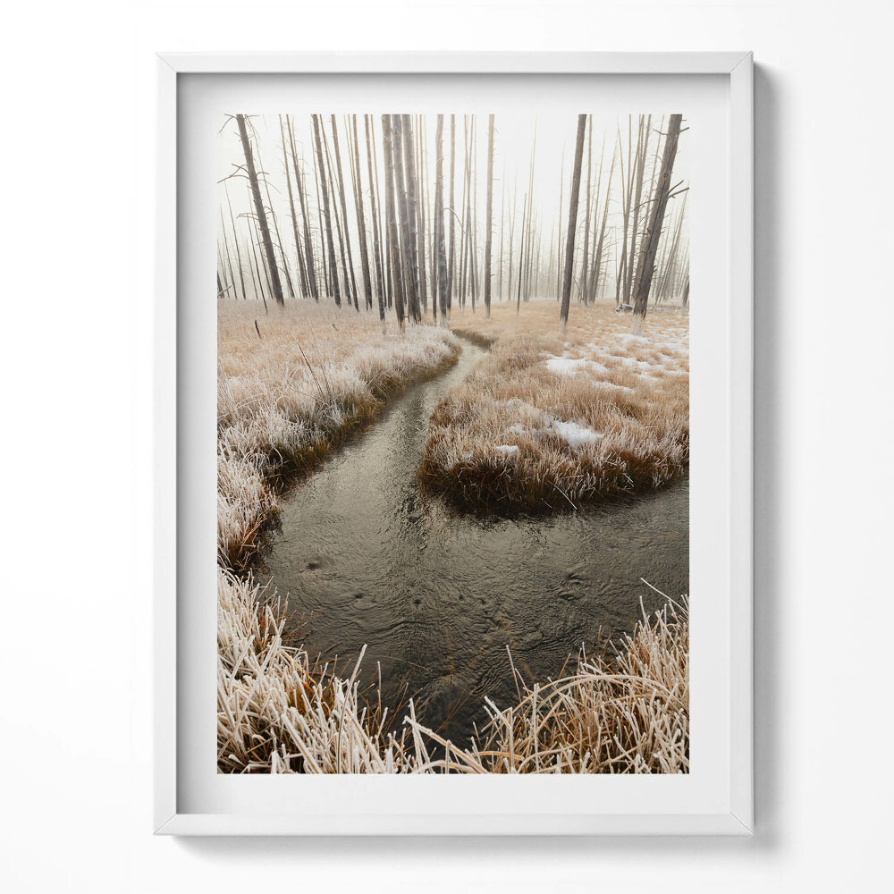 Obraz w ramce Rzeka w lesie zimą