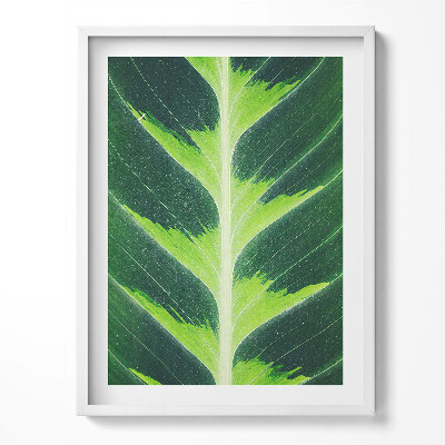 Obraz w ramce Faktura i żyłki liścia